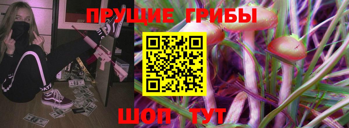 закладка  Псилоцибиновые грибы Cubensis  Вход с VPN  Галлюциногенные грибы ЛСД  Нурлат 