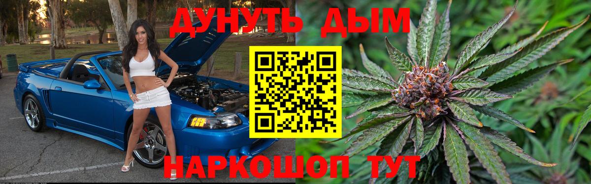 Конопля сатива Нурлат